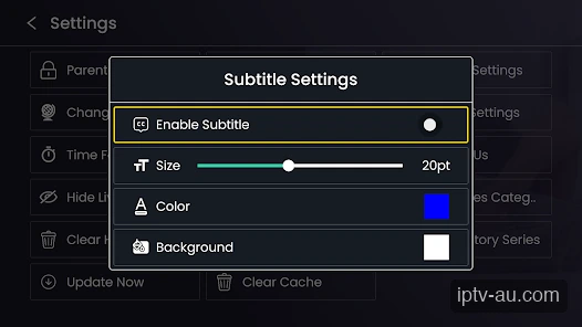 Customize Subtitles